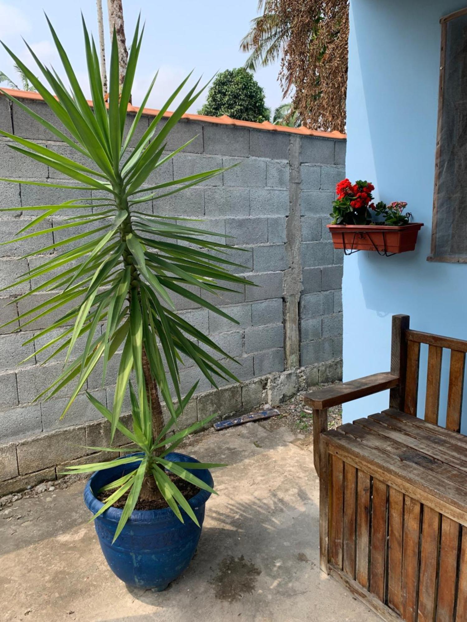 Villa Casa Litoral Sul De Sao Paulo, Peruibe Itariri Exterior foto